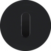 Накладка с ручкой для поворотных переключателей, R.classic, стекло цвет: черный 10012055