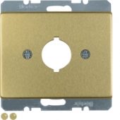 Центральная панель для сигнального и контрольного устройства, Arsys, металл, цвет: золотой 10700102