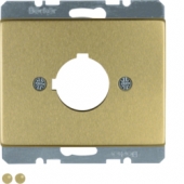 Центральная панель для сигнального и контрольного устройства, Arsys, металл, цвет: золотой 10710102