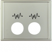 Центральная панель, 2 отверстия для контактного штыря, с символом, Arsys, цвет: стальной, лак 12449004