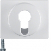 Центральная панель для замочных выключателей/кнопок, Arsys, цвет: полярная белизна, глянцевый 15050079