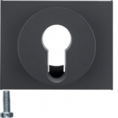 Центральная панель для замочных выключателей/кнопок, K.1, цвет: антрацитовый, матовый 15057006
