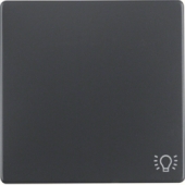 Клавишный выключатель с оттиском символа света, Q.1/Q.3,  цвет: антрацитовый, с эффектом бархата 16206046