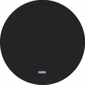 Клавиша с прозрачной линзой, R.1/R.3, цвет: черной 16212045