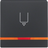 Hакладка карточного выключателя для гостиниц с оттиском и оранжевой линзой, Q.1/Q.3, цвет: антрацитовый, с эффектом бархата 16406086