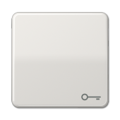 Клавиша с символом "ключ", светло-серая CD590TLG