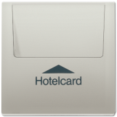 Накладка карточного выключателя "HOTELCARD", благородная сталь ES2990CARD