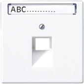 Крышка для одинарной телефонной и компьютерной розетки UAE с полем для надписи, белая LS969-1NAUAWW
