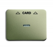 Плата центральная (накладка) для механизма карточного выключателя 2025 U, серия alpha exclusive, цвет палладий 1792-260-101