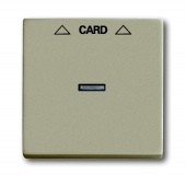 Плата центральная (накладка) для механизма карточного выключателя 2025 U, серия Basic 55, цвет шампань 1792-93-507