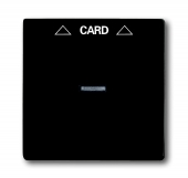 Плата центральная (накладка) для механизма карточного выключателя 2025 U, серия Basic 55, цвет chateau-black 1792-95-507