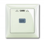 Плата центральная (накладка) для механизма карточного выключателя 2025 U, серия Basic 55, цвет chalet-white 1792-96-507