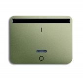 ИК-приёмник с маркировкой "I/O" для 6401 U-10x, 6402 U, серия alpha exclusive, цвет палладий 6067-260-102