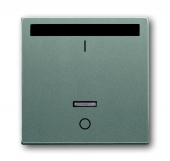 ИК-приёмник с маркировкой "I/O" для 6401 U-10x, 6402 U, серия solo/future, цвет meteor/серый металлик 6067-803