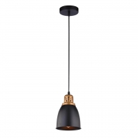 Подвесной светильник Arte Lamp Eurica A4248SP-1BK