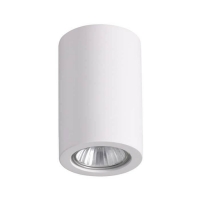 Потолочный светильник Odeon Light Gesso 3553/1C