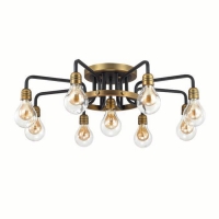 Потолочная люстра Odeon Light Alonzo 3983/9C